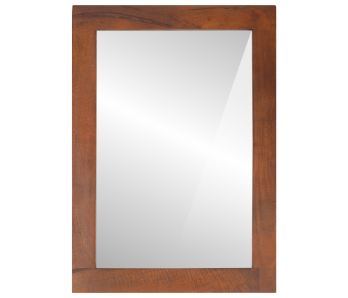 Spogulis Ar Spoguli Brūns, Sudrabs 50 X 2.5 X 70 Cm Vidaxl