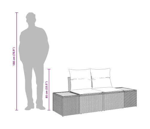 Divvietīgais Dārza Dīvāns Ar Uzglabāšanu Un Spilveniem Melnā Poli Ratanā Vidaxl