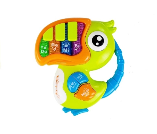 Parrot Piano Educational Early Learning Green