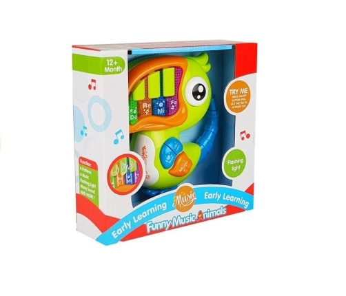 Parrot Piano Educational Early Learning Green