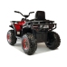 Электрический квадроцикл для детей XMX607 Red Painted