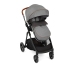 Graco Near2Me pastaigu rati Steeple Grey