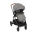 Graco Near2Me pastaigu rati Steeple Grey