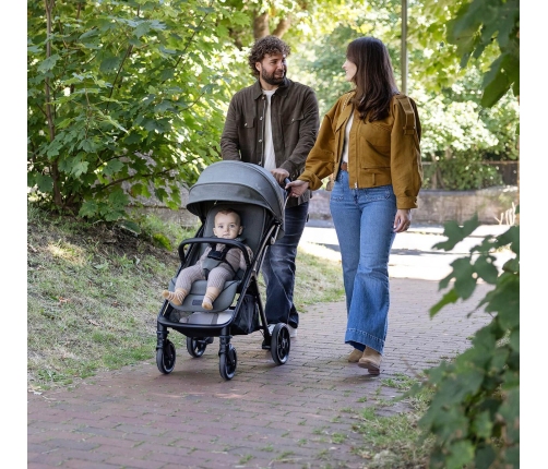 Joie Parcel LX pastaigu rati Signature Evergreen