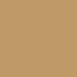 Baby stroller CARRELLO Evo CRL-5533 Medallion Beige