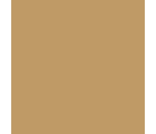 Baby stroller CARRELLO Evo CRL-5533 Medallion Beige