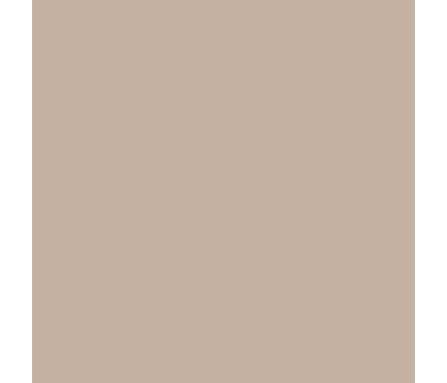 Baby stroller CARRELLO Evo CRL-5533 Parchment Beige