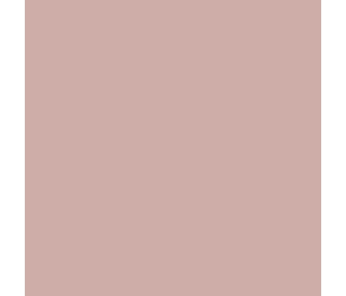 Baby stroller CARRELLO Evo CRL-5533 Vibrant Pink