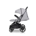 EasyGo Echo Cloudy Gray Коляска для двойняшек