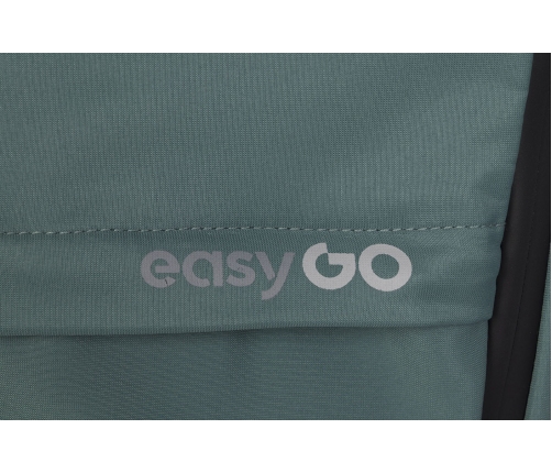 EasyGo Echo Sage Green Dvīņu rati