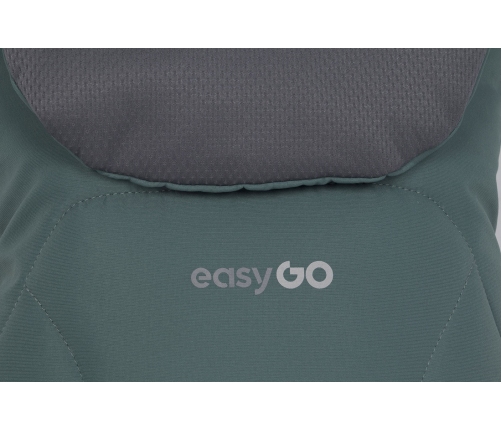 EasyGo Echo Sage Green Dvīņu rati