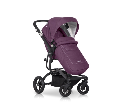 EasyGo Soul Purple Pastaigu rati