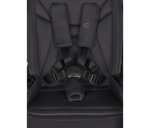 Cavoe Moi+ Meteorite Pastaigu rati