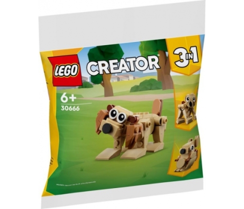 Lego 30666 - Creator 3 In 1 Gift Animals