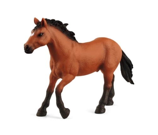 Schleich - Appaloosa Stallion
