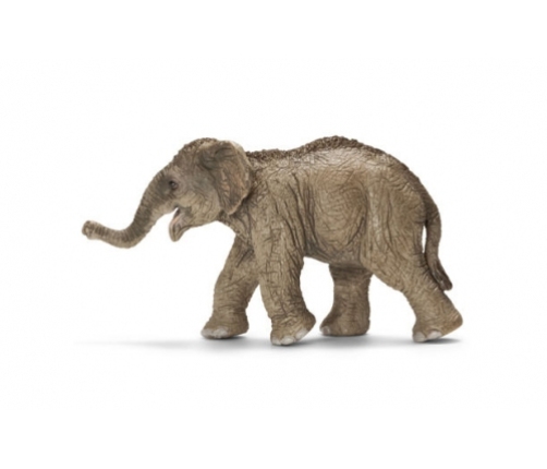Schleich - Asian Elephant Calf