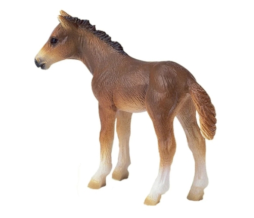 Schleich - Holstein Foal