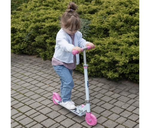 Skrejritenis Kidwell SKIPO Dog