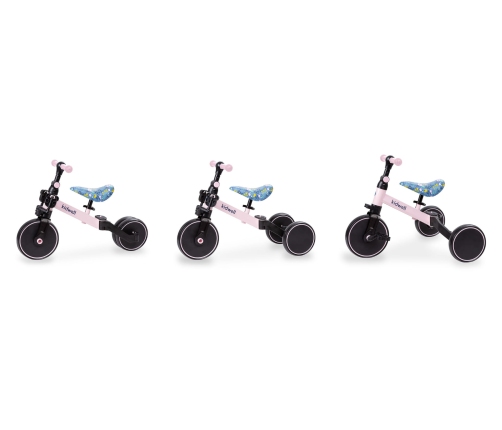 Balansa ritenis Kidwell PICO SPRING FLOWER