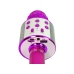 Wireless Microphone USB Speaker Karaoke Recording Model WS-858 Pink