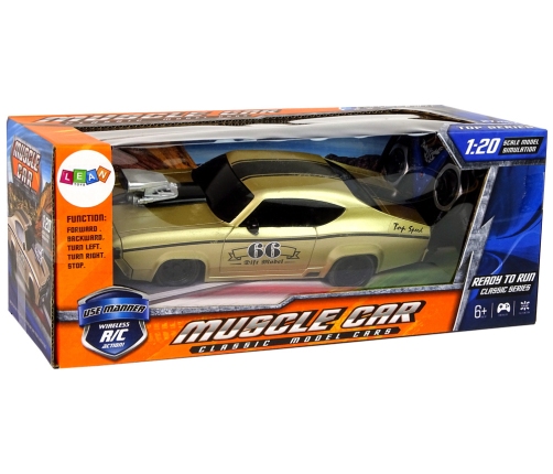 Remote Control Sports Car Classic 1:20 Gold Pilot