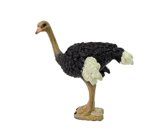 Collector's figurine Ostrich  Animals of the World series