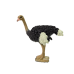 Collector's figurine Ostrich  Animals of the World series
