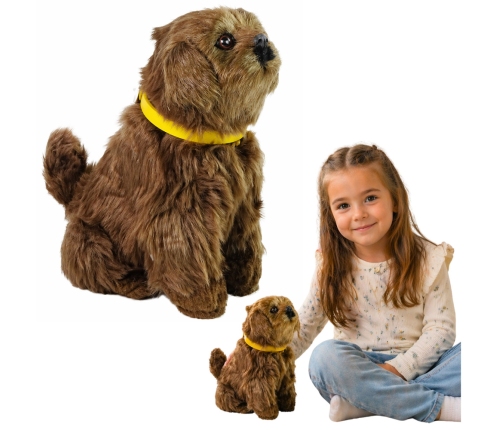 Interactive Plush Dog Soft fur Stroke its head and learn its functions