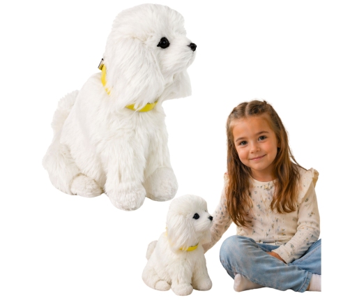 Interactive Plush Dog Soft fur Breed Poodle Stroke its head and learn its functions