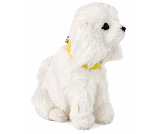 Interactive Plush Dog Soft fur Breed Poodle Stroke its head and learn its functions