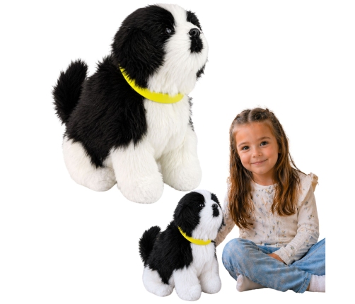 Interactive Plush Dog Soft fur Border Collie breed