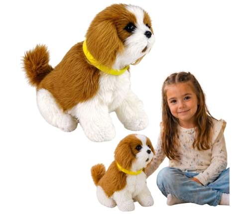 Interactive Plush Dog Soft fur Cavalier breed Stroke its head and learn its functions