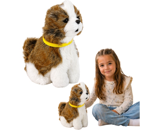 Interactive Plush Dog Soft fur Shitzu breed