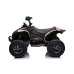 Electric Ride On CAN-AM Renegate Beige