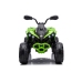 Elektriskais kvadracikls bērniem CAN-AM Renegate Green