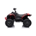Электрический квадроцикл для детей CAN-AM Renegate Red