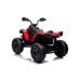 Электрический квадроцикл для детей CAN-AM Renegate Red