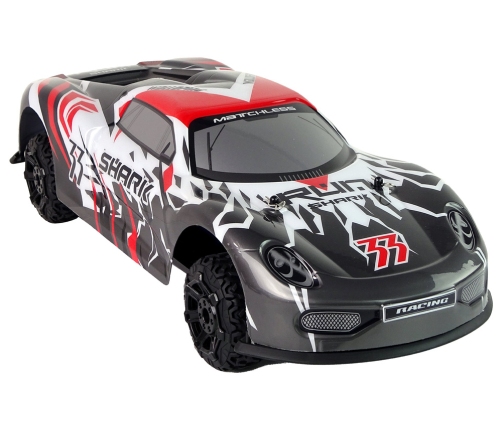 Radiovadāmā mašīna ar pulti Gray White