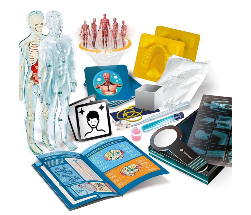 Science Fun Super Anatomy Polish Language Clementoni 50919