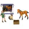 Bright Horse Animals Figure Set. Bright Horse Animals Figure Set.