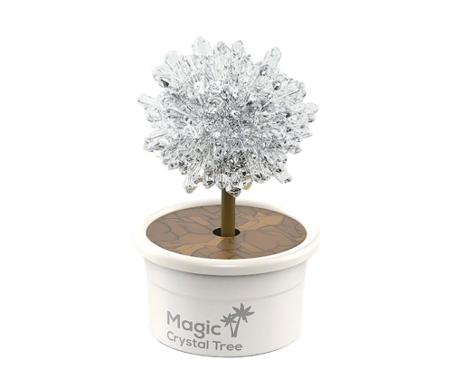 Magic Tree Crystal Growing Silver Experiences