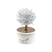 Magic Tree Crystal Growing Silver Experiences
