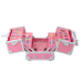 Chest Suitcase Beauty Set Jewelry Cosmetics Pink