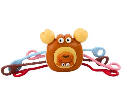 Interactive Sensory Crab Educational Teether For Children