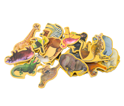 Set of Wooden Magnets Animals 20 Pieces Colorful