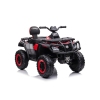 Quad Battery S615 Red 24V