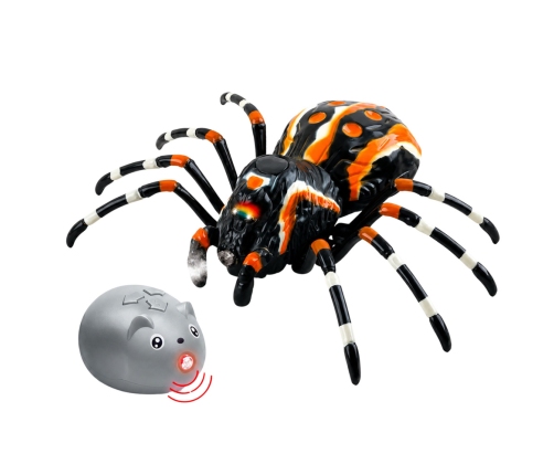 Rādiovadāms zirneklis Tarantula