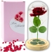 Eternal Rose In Glass Dome LED Lighting Red 21x11cm