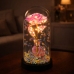 Eternal Rose in Dome with LED Lighting Pink with Heart and Balls