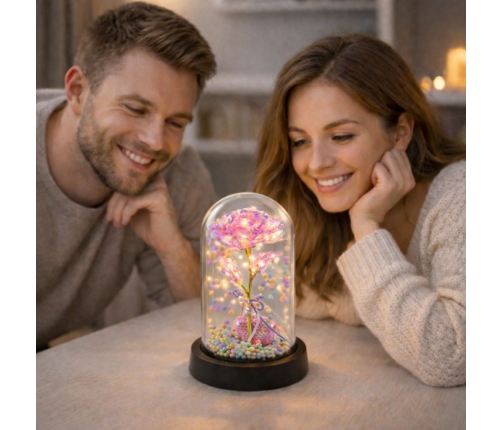 Eternal Rose in Dome with LED Lighting Pink with Heart and Balls